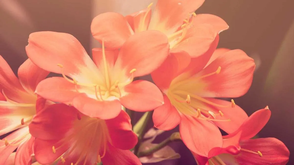 Warehouse & Shipping