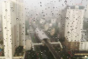 企业官网 product image